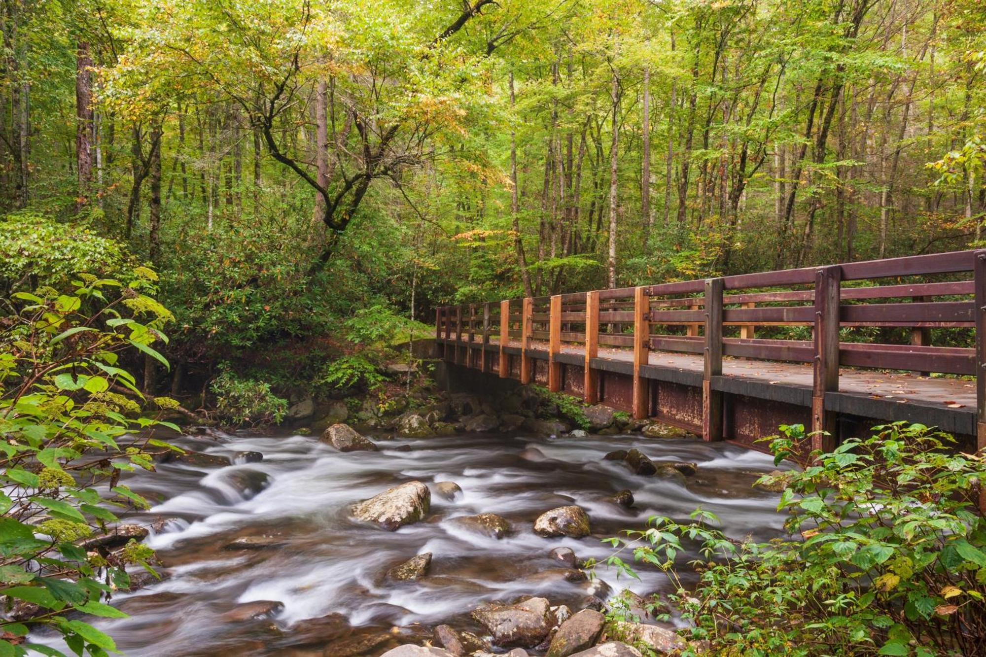 River Breeze, Wifi, 1089 Free Tickets Each Paid Day, Dollywood And More 鸽子谷 外观 照片